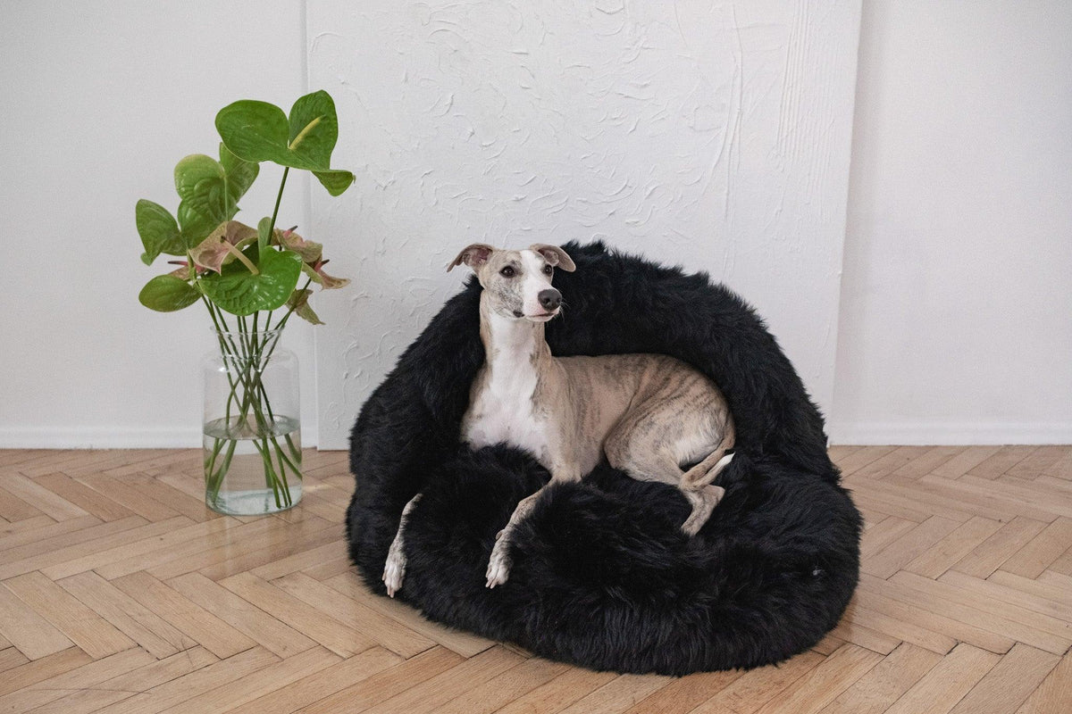 Natural Sheepskin Pet Cave in black, front view