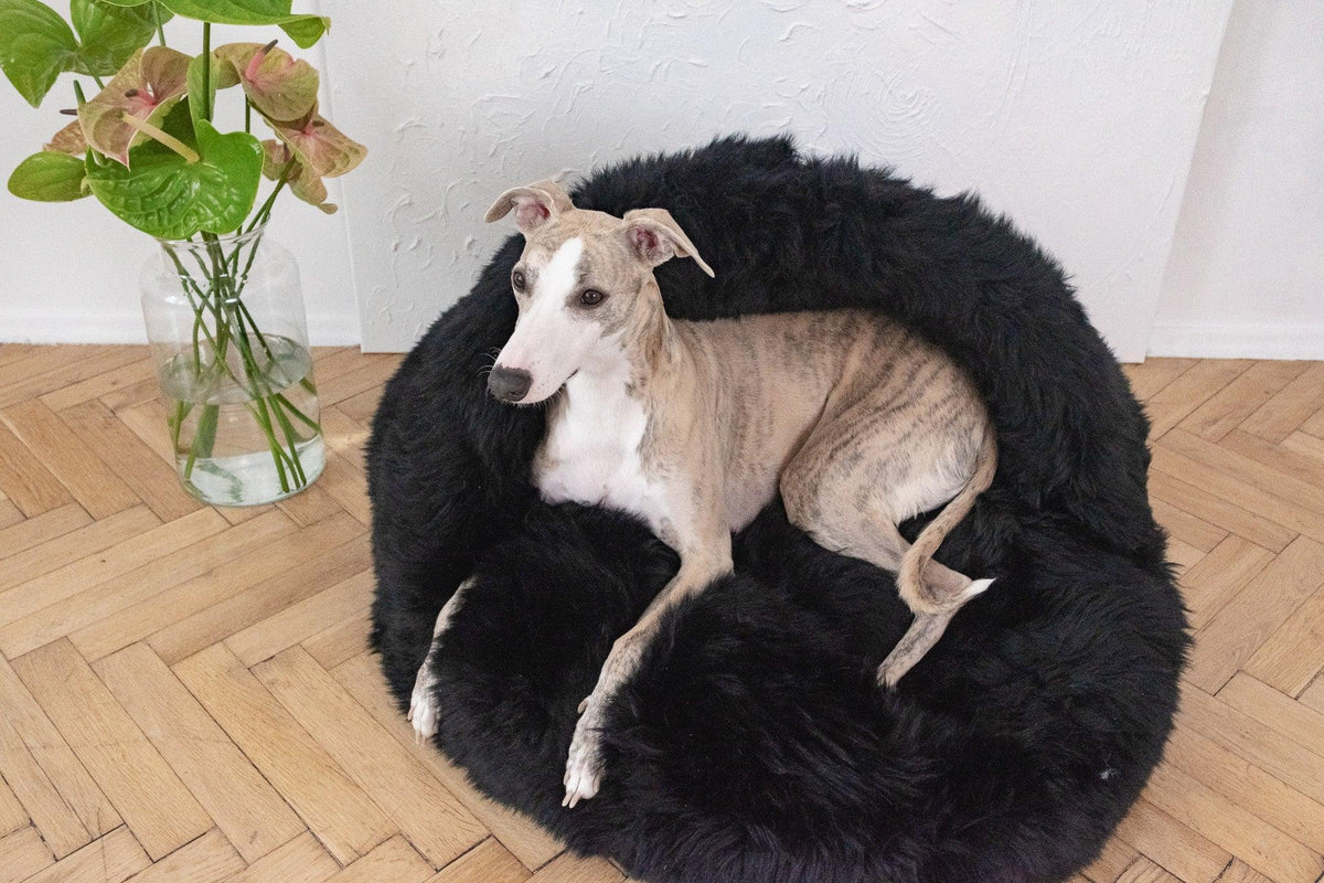Natural Sheepskin Pet Cave showing cotton base with zip