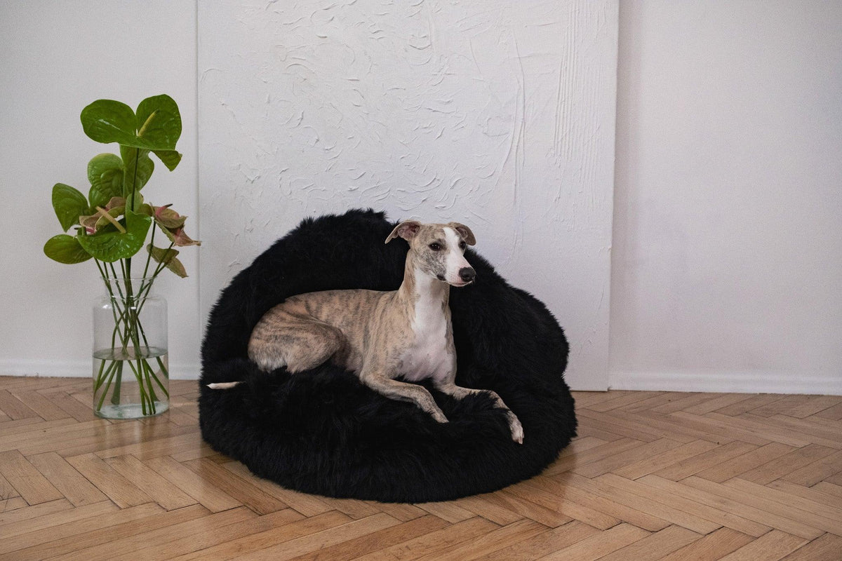 Natural Sheepskin Pet Cave dome close-up, sheepskin texture