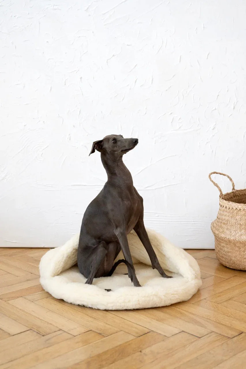 Natural Wool Pet Cave with cat resting inside