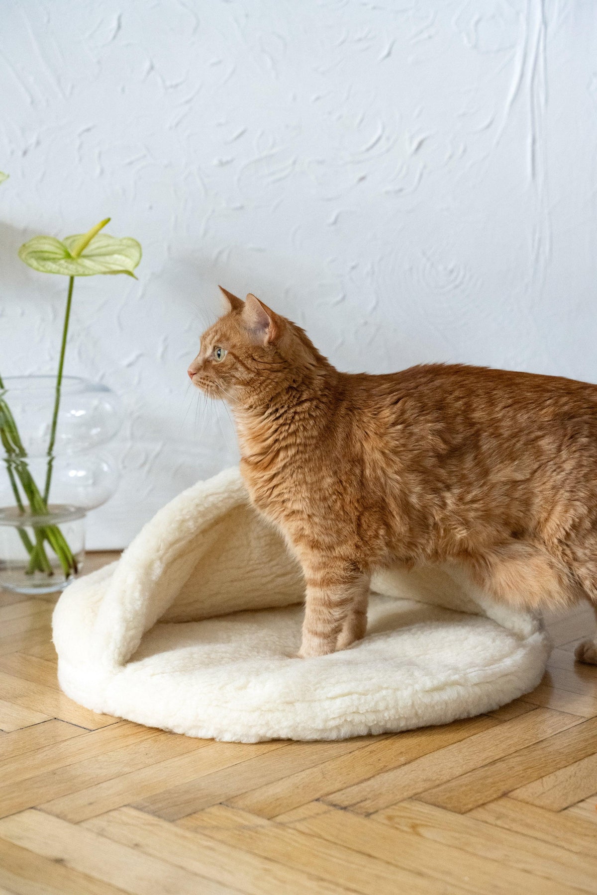 Natural Wool Pet Cave showing burgundy cotton base