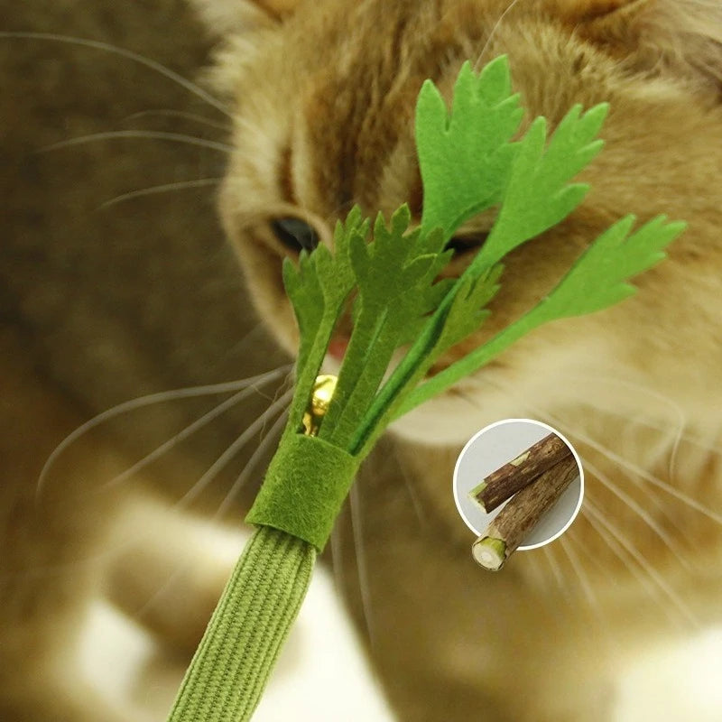 2pcs Interactive Cat Chew Toy Natural Silver Vine Stick Squeaky Celery Kitten Game Toy Bite-resistant Teeth Cleaning Cat Toy