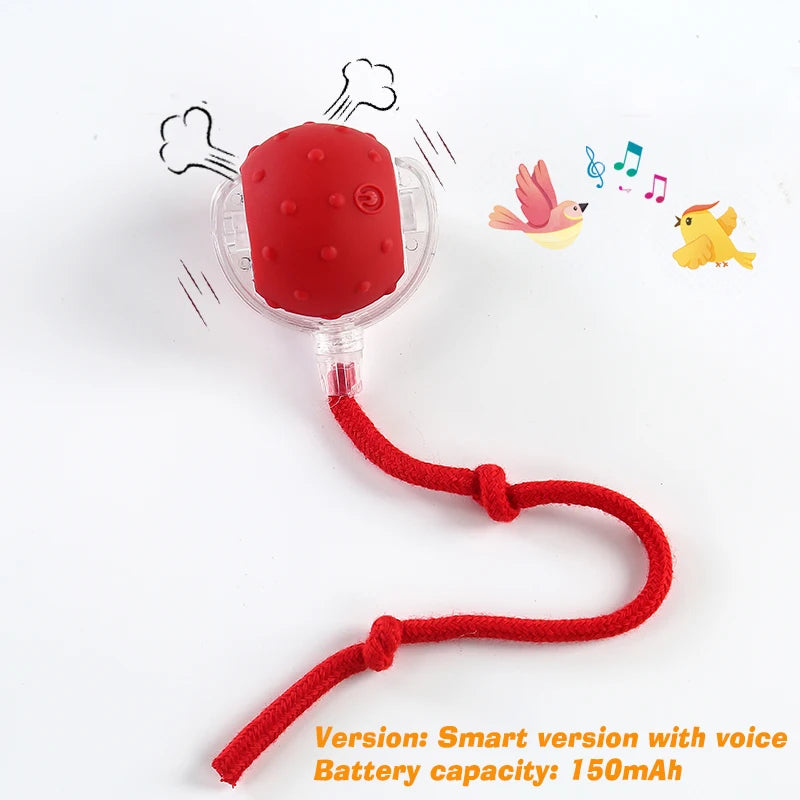 New Dog Interactive Ball Toy,Automatic Rolling Dog Ball Rechargeable,Smart Puppy Interactive Toy,Intelligent Balls Toy for Dogs